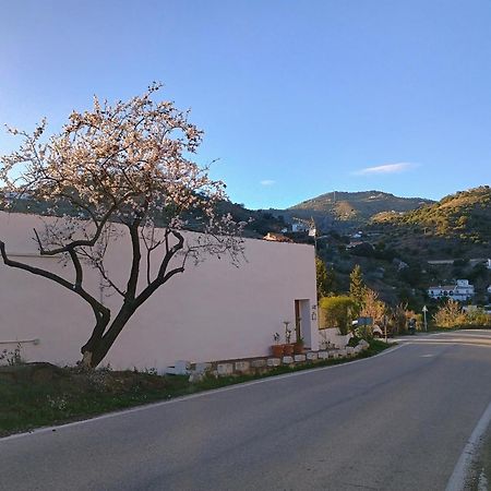 Finca El Almendro Archez Bagian luar foto