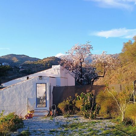 Finca El Almendro Archez Bagian luar foto