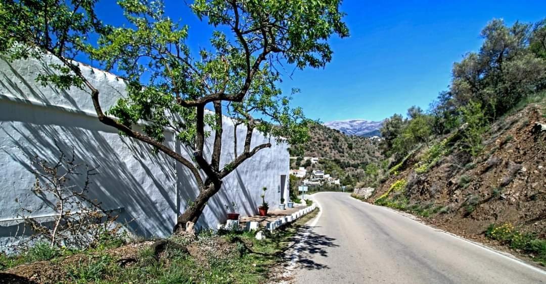 Finca El Almendro Archez Bagian luar foto