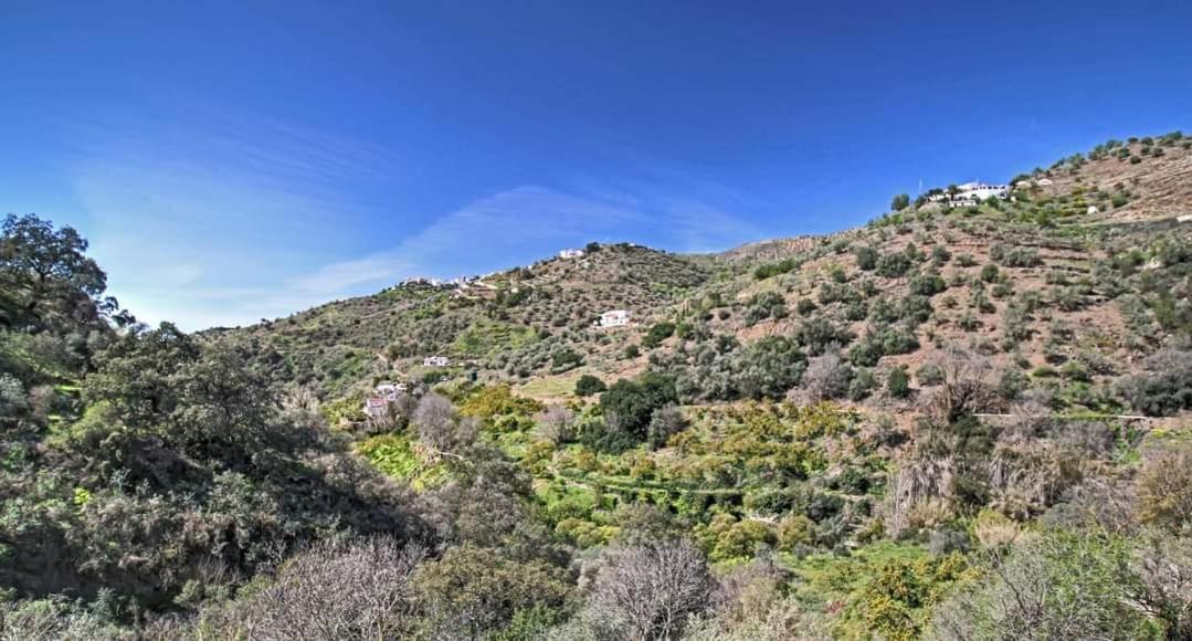 Finca El Almendro Archez Bagian luar foto
