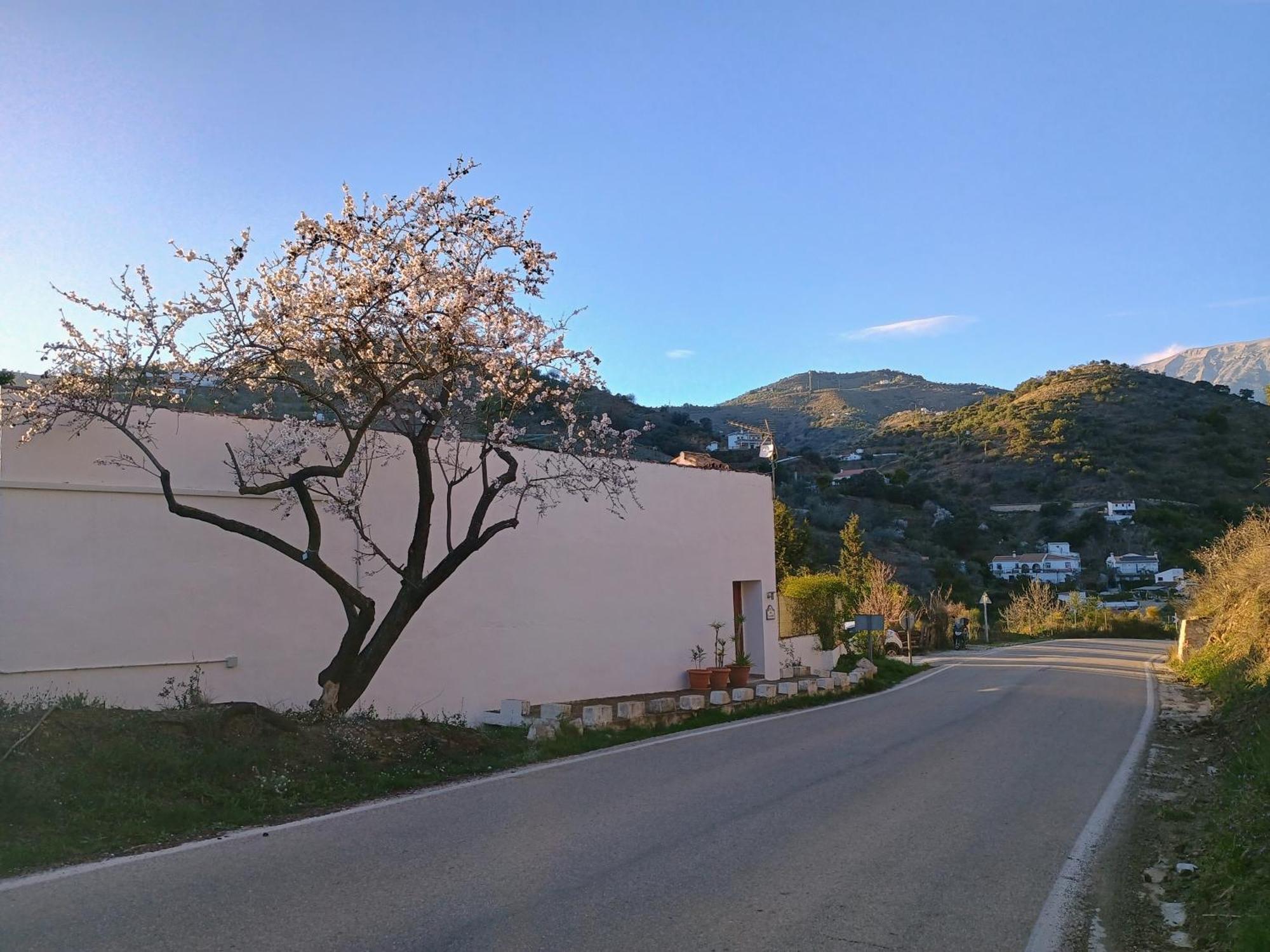 Finca El Almendro Archez Bagian luar foto