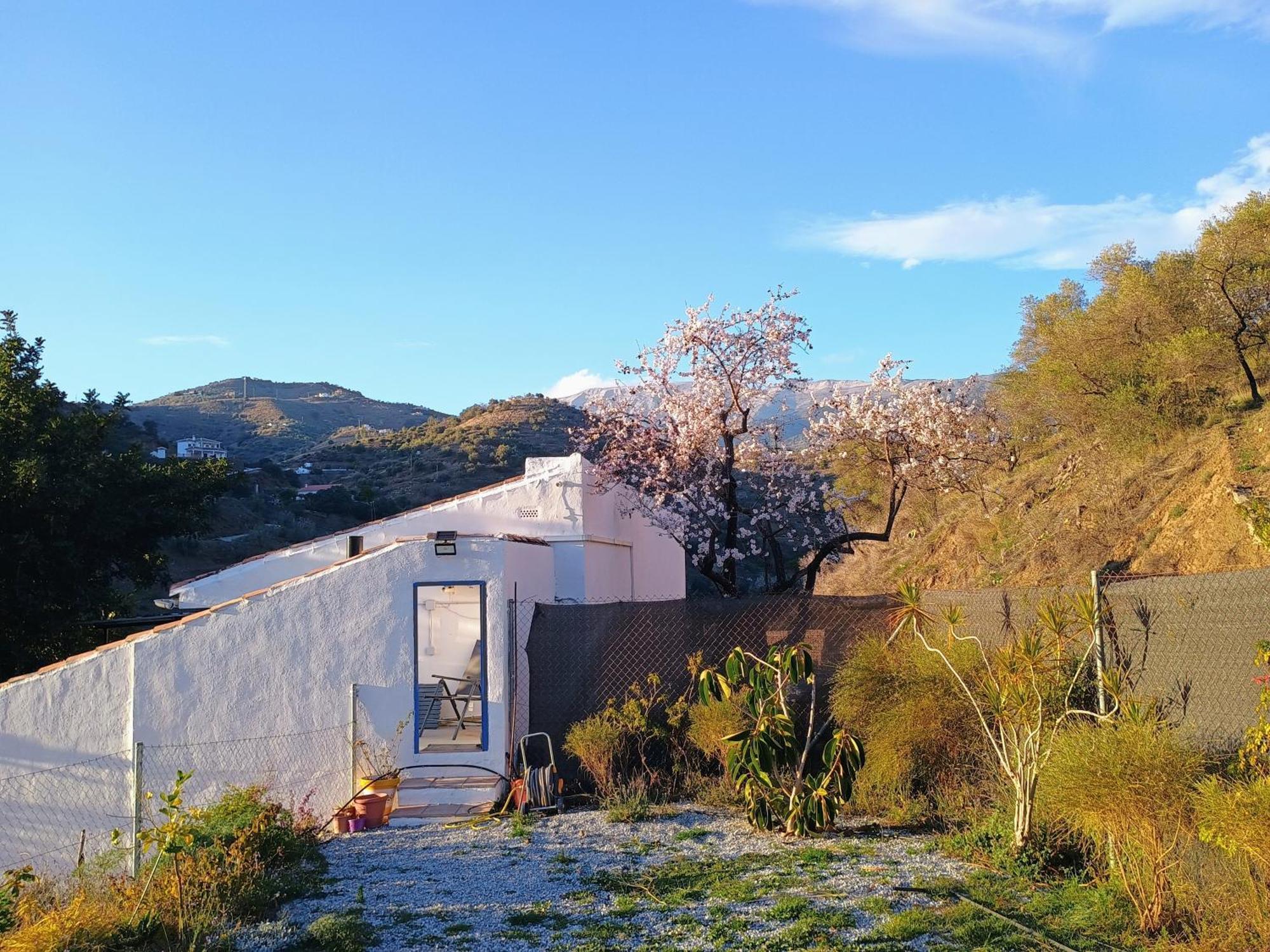 Finca El Almendro Archez Bagian luar foto